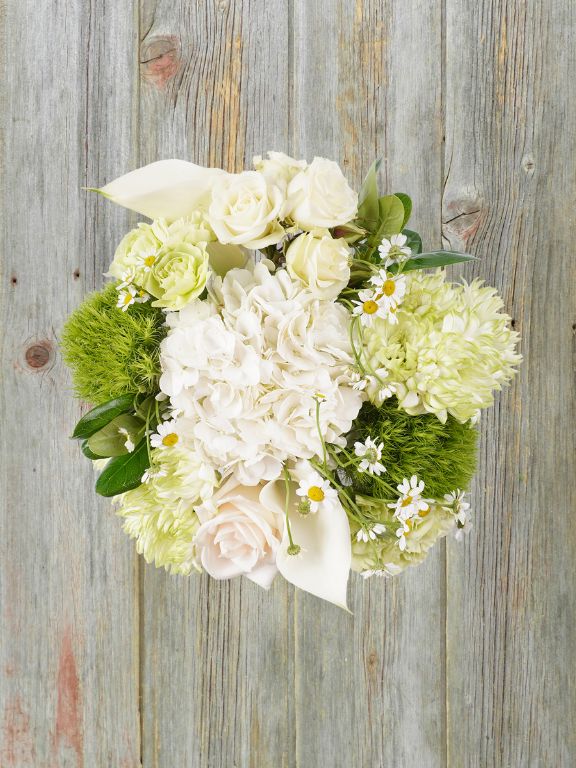 WHITE GREEN COLLECTION - 14 STEM